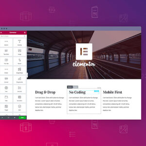 ปลั๊กอิน Elementor Pro แท้ 499 บาท